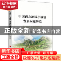正版 中国西北地区小城镇发展问题研究 许光中 人民出版社 978701