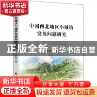 正版 中国西北地区小城镇发展问题研究 许光中 人民出版社 978701