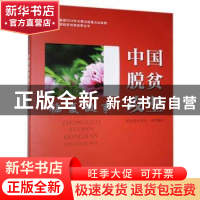 正版 中国脱贫攻坚-临夏故事 国务院扶贫办 研究出版社 978751990