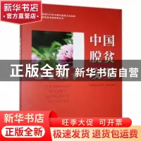 正版 中国脱贫攻坚-临夏故事 国务院扶贫办 研究出版社 978751990