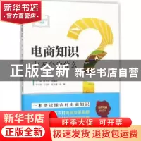 正版 电商知识十万个为什么 黄飞杰,薄赋徭主编 清华大学出版社