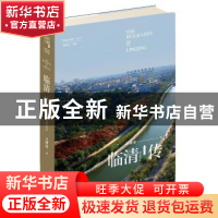 正版 临清传:大运河文化的支点 王树理著 新星出版社 9787513334