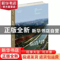 正版 临清传:大运河文化的支点 王树理著 新星出版社 9787513334
