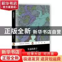 正版 失窃的孩子 (美)凯斯·唐纳胡 著 柏栎 译 上海文艺出版社