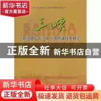 正版 三峡工程运用后长江中下游防洪技术研究 仲志余,胡维忠,陈