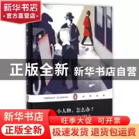 正版 小人物,怎么办? (德)汉斯·法拉达著 上海文艺出版社 97875