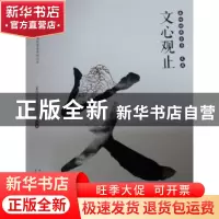 正版 文心观止 《秦岭四库全书》编写组编著 西安出版社 97875541