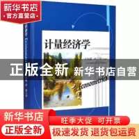 正版 计量经济学 于永娟,何悦 经济管理出版社 9787509677216 书
