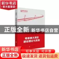正版 粤港澳大湾区建设理论与实践 杨沐,李明波主编 华南理工大