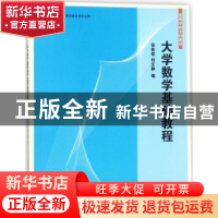 正版 大学数学基础教程 张若军,刘文静 清华大学出版社 97873024