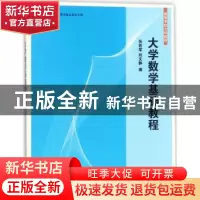 正版 大学数学基础教程 张若军,刘文静 清华大学出版社 97873024