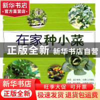 正版 在家种小菜 她品主编 农村读物出版社 9787504855367