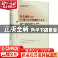 正版 新发展格局下中国中小企业高质量发展若干问题的理论与实践
