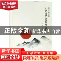 正版 在卫运河艾墩甸的高坡上 许辉 安徽文艺出版社 978753966288