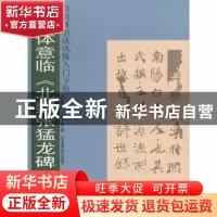 正版 启功体意临《北魏张猛龙碑》 文阿禅编著 岭南美术出版社