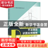 正版 平法钢筋识图实例精解 栾怀军,孙国皖主编 中国建材工业出