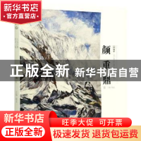 正版 金字塔:大家经典传承工程:颜重鼎卷 编者:赵孟|责编:王璐 天