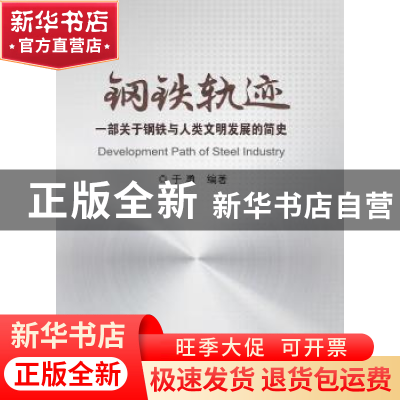 正版 钢铁轨迹:一部关于钢铁与人类文明发展的简史 于勇 冶金工业