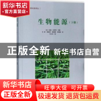 正版 生物能源:下册 (美)安瑞·达西亚主编 中国三峡出版社 978780