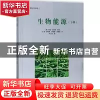 正版 生物能源:下册 (美)安瑞·达西亚主编 中国三峡出版社 978780