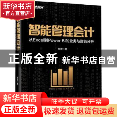 正版 智能管理会计:从Excel到Power BI的业务与财务分析 张震 电