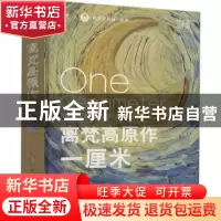 正版 离梵高原作一厘米 齐晓晶 机械工业出版社 9787111674474 书