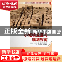 正版 小城镇发展与规划指南 李建钊主编 天津大学出版社 97875618