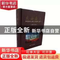 正版 东安县志1989-2004 东安县志编纂委员会编 方志出版社 97878