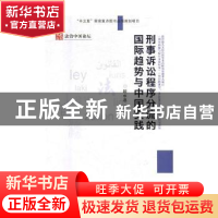 正版 刑事诉讼程序分流的国际趋势与中国实践 顾永忠等著 方志出