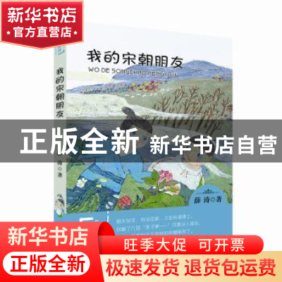 正版 中华原创幻想儿童文学大系·我的宋朝朋友 薛涛 大连出版社 9