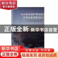 正版 大兴安岭成矿带北段资源远景调查评价 陈江[等]著 中国地质