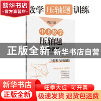 正版 中考数学压轴题高效训练:答案详解版:三角形与四边形 刘弢