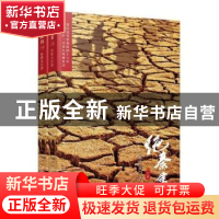 正版 绝秦书(全2册) 张浩文 著; 新星出版社 9787513337809 书