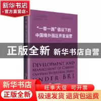 正版 “一带一路”倡议下的中国境外园区开发运营 中国(深圳)综