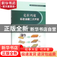 正版 克拉玛依砾岩油藏二次开发 朱水桥 等著 石油工业出版社 97