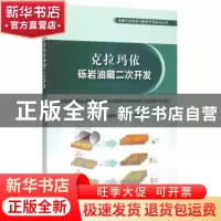 正版 克拉玛依砾岩油藏二次开发 朱水桥 等著 石油工业出版社 97