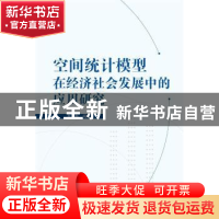 正版 空间统计模型在经济社会发展中的应用研究 肖磊 武汉大学出