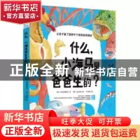 正版 什么,小海马是爸爸生的? (韩)阳光和樵夫 中国妇女出版社
