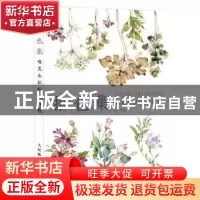 正版 拾色集 唯美水彩绘画教程 安安 人民邮电出版社 97871155046