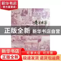 正版 走进太平:安徽省群文系统深入生活美术摄影作品集 安徽省文