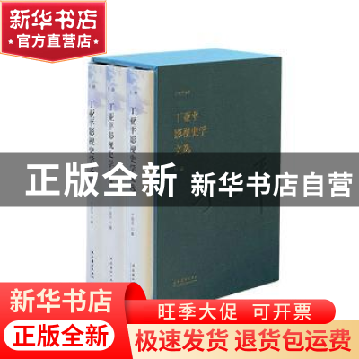 正版 丁亚平影视史学文选 丁亚平 文化艺术出版社 9787503968051