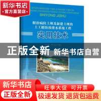 正版 根治病险土坝及新建土坝的土工膜防渗排水系统工程实用技术