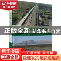 正版 城镇防沙理论与工程 邹学勇 科学出版社 9787030554840 书