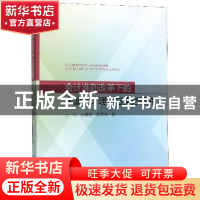 正版 会计准则改革下的企业会计理论与实务研究 王涵,王颖娟,左彩