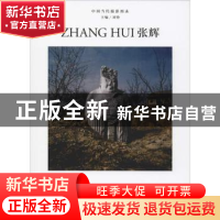 正版 中国当代摄影图录:第四辑:张辉 刘铮 主编 浙江摄影出版社 9