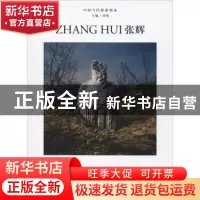正版 中国当代摄影图录:第四辑:张辉 刘铮 主编 浙江摄影出版社 9