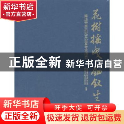 正版 花树摇曳 钿钗生辉——隋炀帝萧后冠实验室考古报告 陕西省