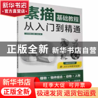 正版 素描基础教程从入门到精通 介于手绘 江苏凤凰科学技术出版