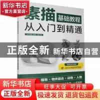 正版 素描基础教程从入门到精通 介于手绘 江苏凤凰科学技术出版
