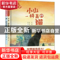 正版 小山与猫(共2册)(精) 孙悦 现代出版社 9787514388473 书籍